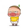 linhduyenphat
